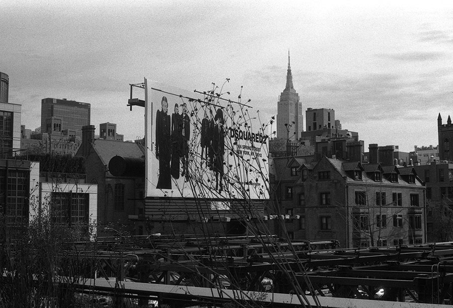 Empire State from the High Line